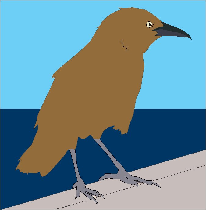 Brown Bird