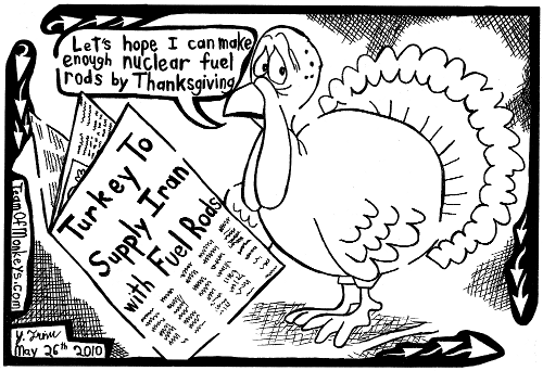 Turkey Fuel Rods to Iran Maze Cartoon