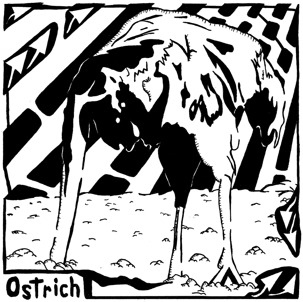 Ostrich Maze