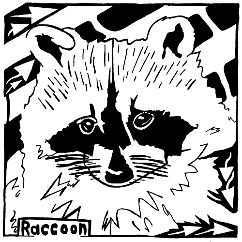 Maze of Raccoon for the Letter R Maze