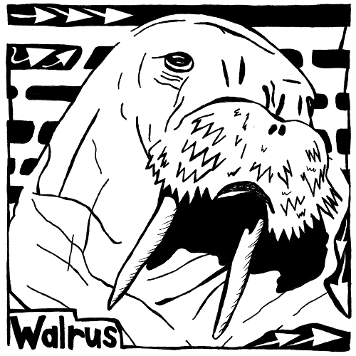 maze of walrus