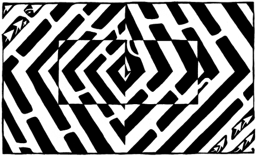 Yonatan Frimer Optical Illusion Maze