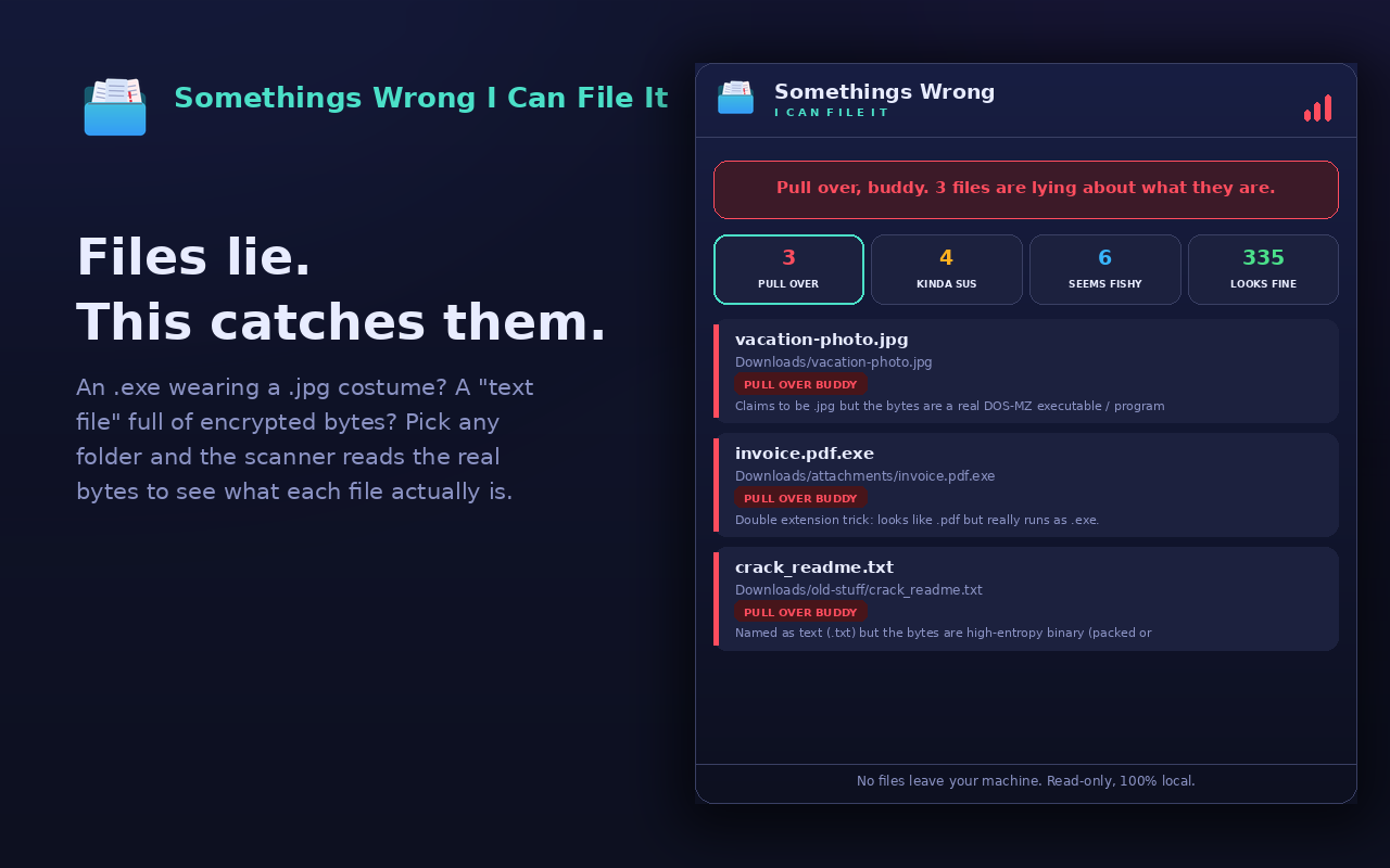 Somethings Wrong I Can File It Chrome Extension
